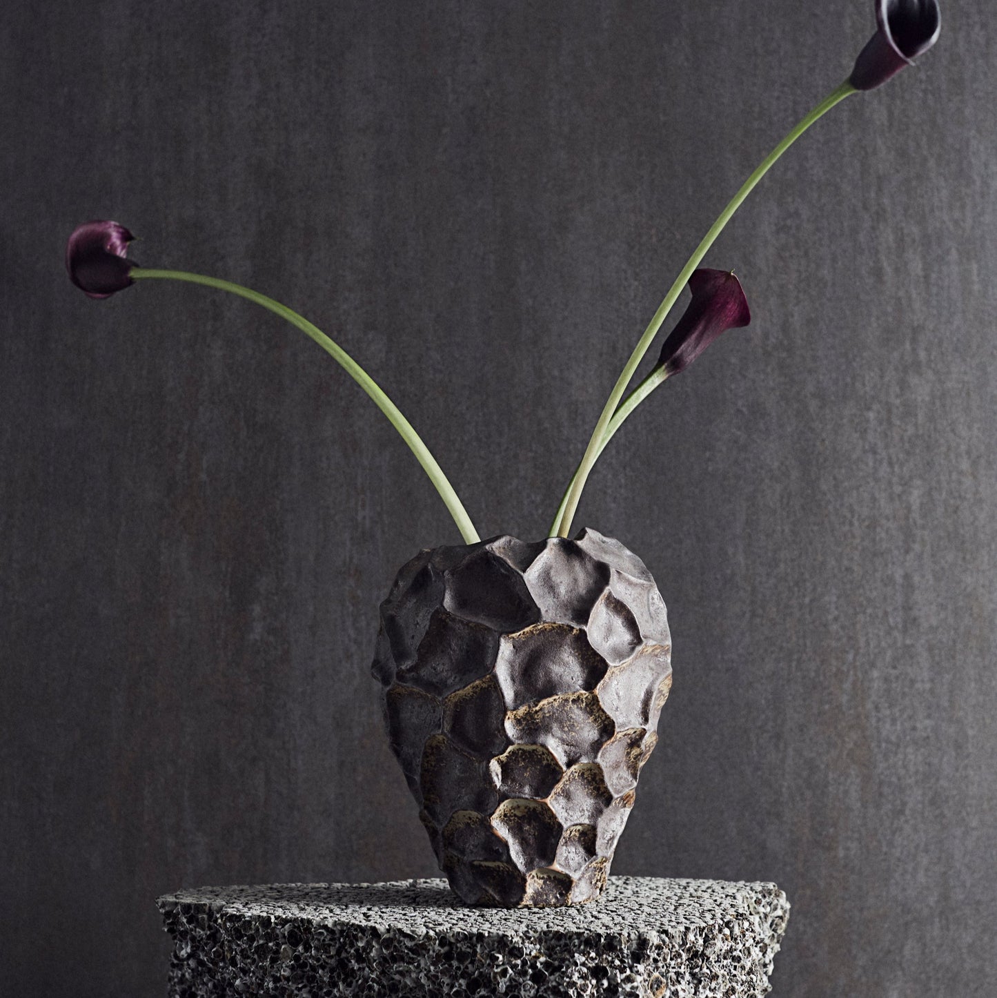 Vase Soil