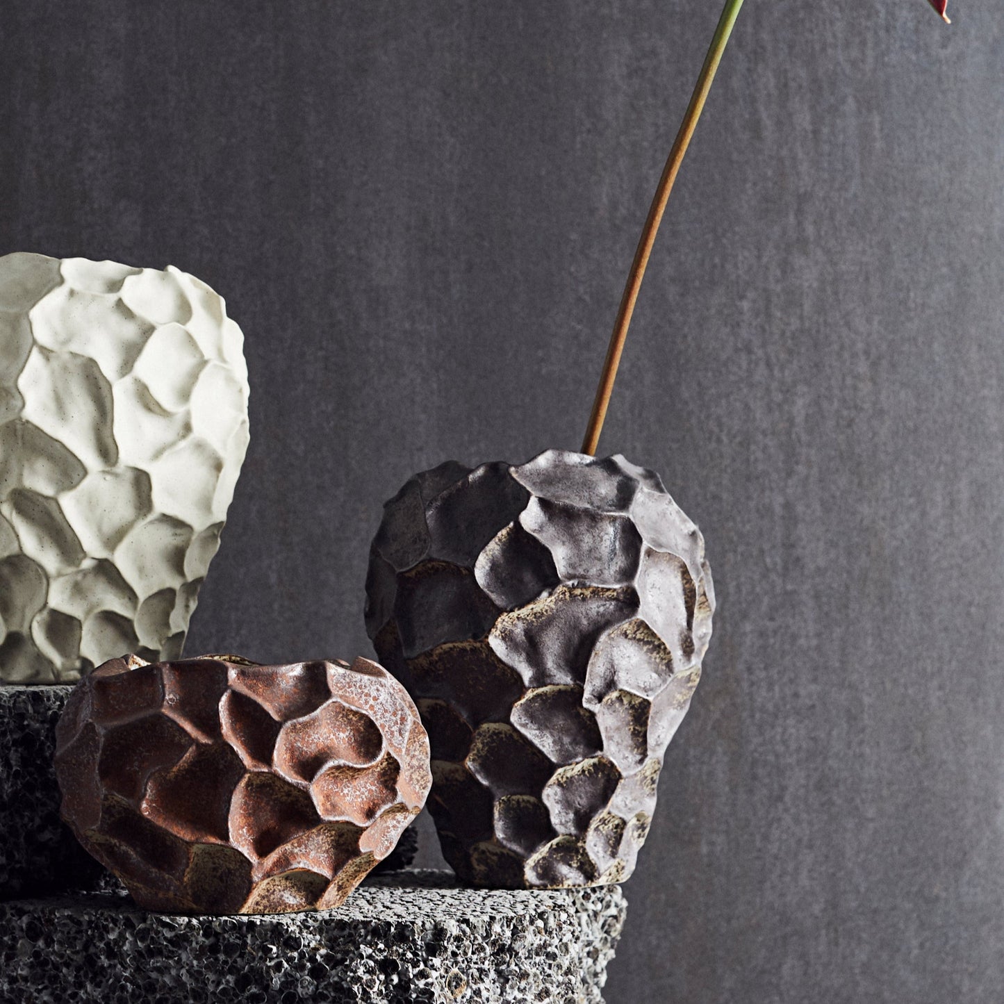 Vase Soil