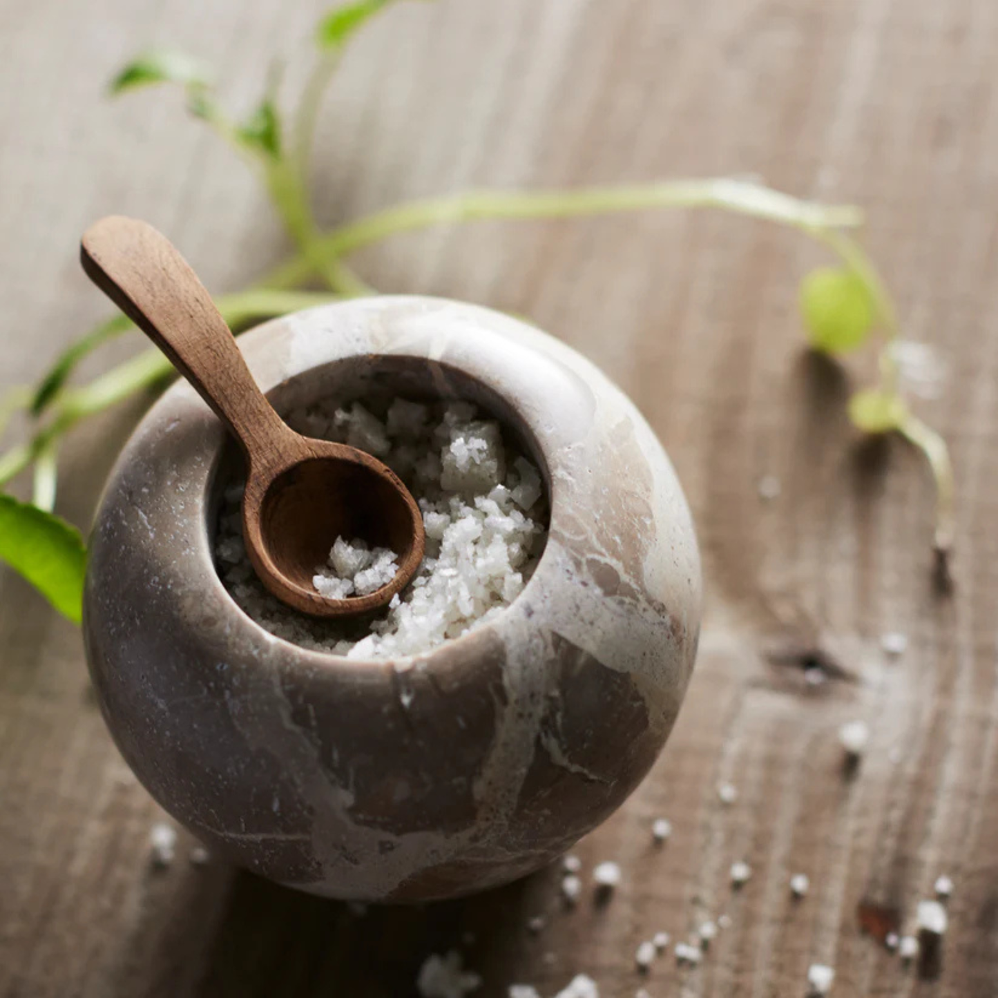 Salt Spoon